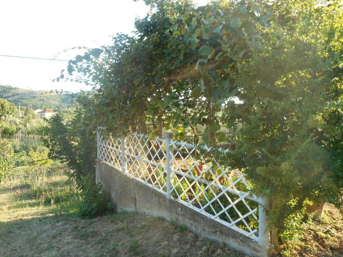 דירות קסטיליון פיורנטינו Poggio Fiorito מראה חיצוני תמונה